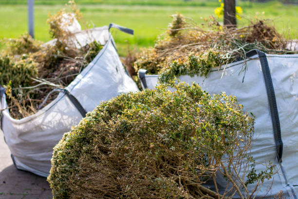 Best Household Junk Removal  in Burlington, CO